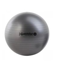 Physio ball 120 cm Maxafe Ledragomma 